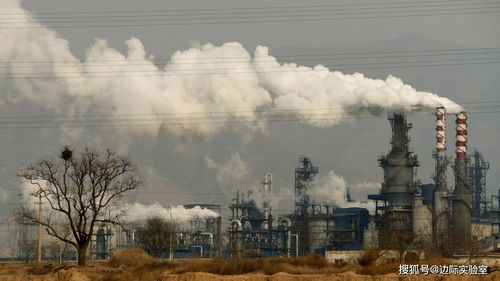 煤炭漲價與數(shù)據屏蔽 水產品行業(yè)的轉型之困