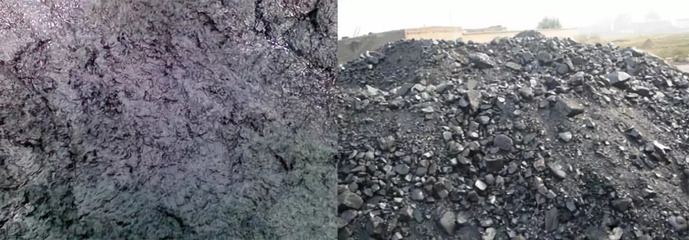 瑞新熱裂解技術 變水產品廢棄物為寶，助力環保新篇章